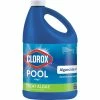 Outlet 🥰 Clorox Pool Algaecide Clarifier 1 Gal. ✔️ -Sports Outdoor Games Store unnamed file 328